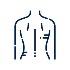 Collection image for: Dermatología - Cuerpo