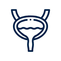 Collection image for: Urología
